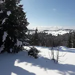 Panorama Karpat ゲストハウス *