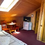 Panorama Karpat Guest house Yablunytsya