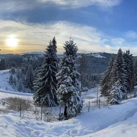 Panorama Karpat Гостевой дом Яблоница