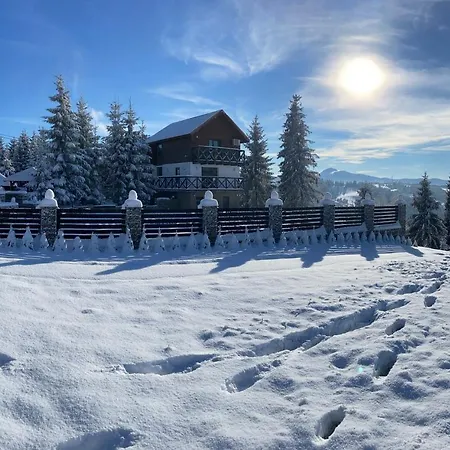 Panorama Karpat 게스트하우스 *