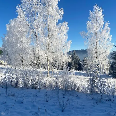 Panorama Karpat בית הארחה יבלוניצה