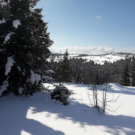 Panorama Karpat بيت ضيافة *