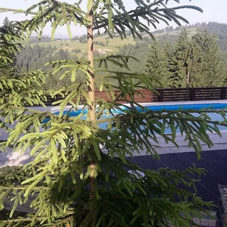 게스트하우스 Panorama Karpat *