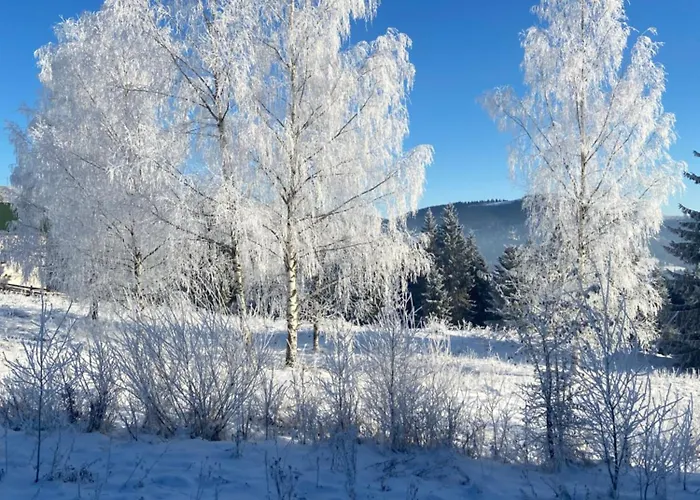 Panorama Karpat Konukevi Yablunytsia
