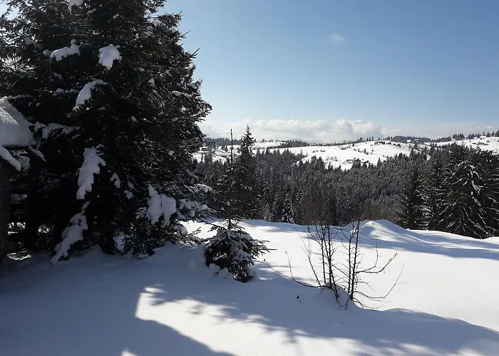 Panorama Karpat Konukevi *
