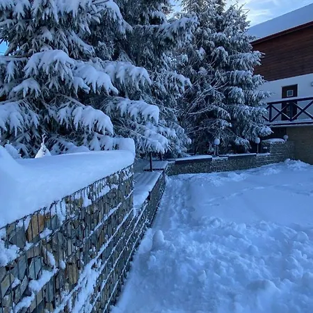 Guest house Panorama Karpat Yablunytsya