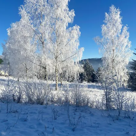 Panorama Karpat Guest house Yablunytsya