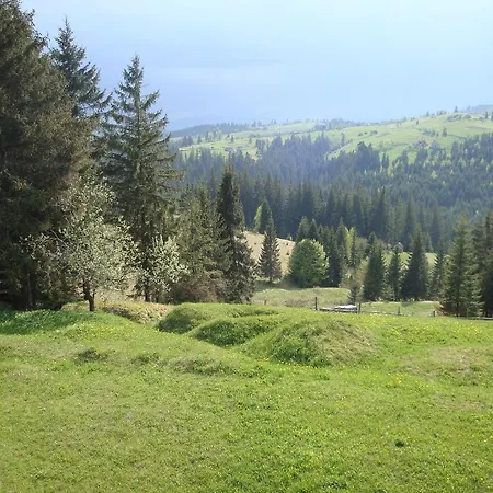 Guest house Panorama Karpat *